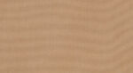 swatch for Canvas Raffia