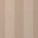 swatch for Expressive Sparrow