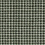 swatch for Lore Moss