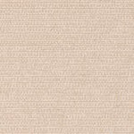 swatch for Nuance Eggshell
