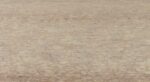 swatch for Birch