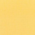 swatch for Canvas Buttercup