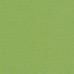 swatch for Canvas Ginkgo