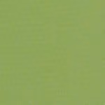 swatch for Canvas Ginkgo