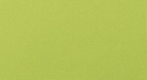 swatch for Canvas Macaw