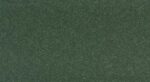 swatch for Evergreen